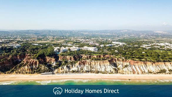 Pine trees in the pine cliffs resort in Portugal